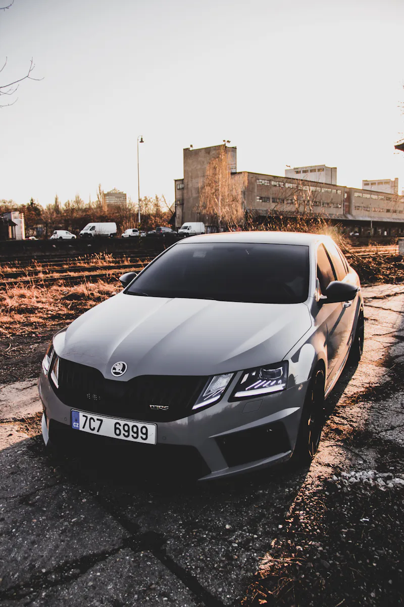 Skoda grise elegante